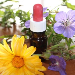 natural medicine, flower essences, natural